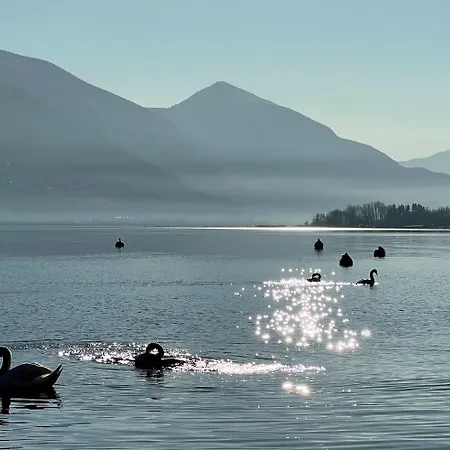 Riva & - Check-in 24hr 3* Minusio