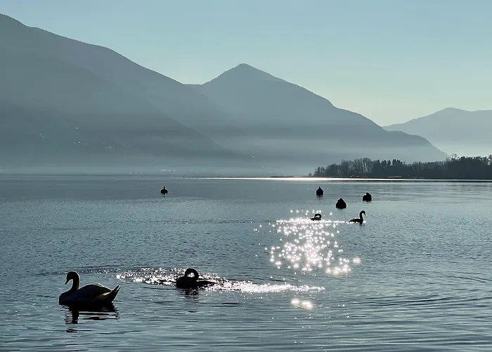 Riva & - Check-in 24hr 3* Minusio